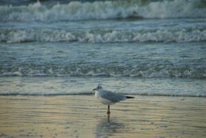 Pratiquer l'empathie